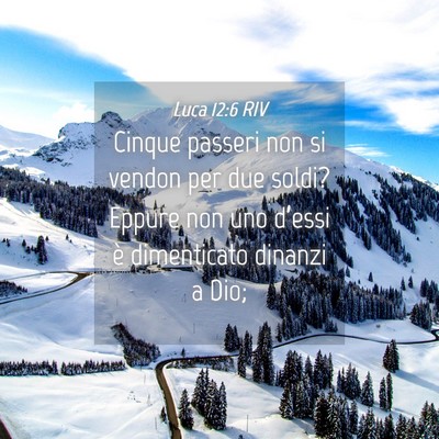 Picture 04 - Luca 12:6 RIV - Cinque passeri non si vendon per due soldi? - Bible Verse Picture