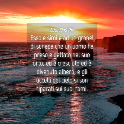 Picture 04 - Luca 13:19 RIV - Esso è simile ad un granel di senapa che un uomo - Bible Verse Picture