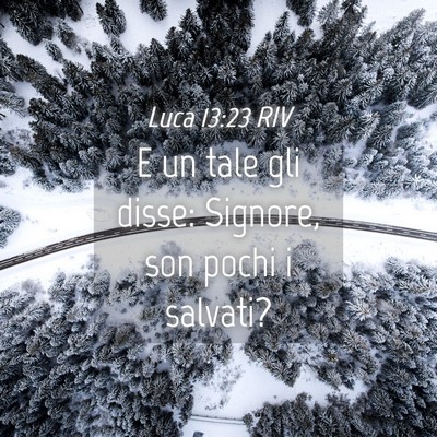 Picture 04 - Luca 13:23 RIV - E un tale gli disse: Signore, son pochi i - Bible Verse Picture