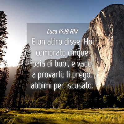 Picture 04 - Luca 14:19 RIV - E un altro disse: Ho comprato cinque paia di - Bible Verse Picture