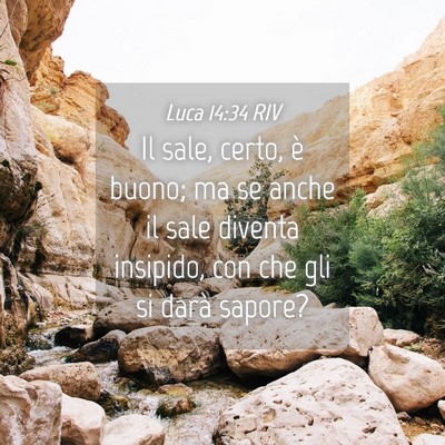 Picture 04 - Luca 14:34 RIV - Il sale, certo, è buono; ma se anche il sale - Bible Verse Picture