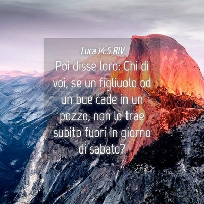 Picture 04 - Luca 14:5 RIV - Poi disse loro: Chi di voi, se un figliuolo od un - Bible Verse Picture