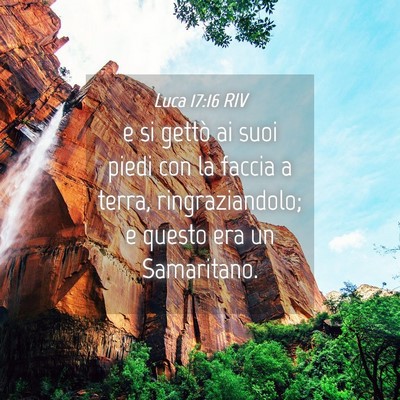Picture 04 - Luca 17:16 RIV - e si gettò ai suoi piedi con la faccia a terra, - Bible Verse Picture