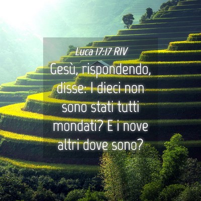 Picture 04 - Luca 17:17 RIV - Gesù, rispondendo, disse: I dieci non sono stati - Bible Verse Picture
