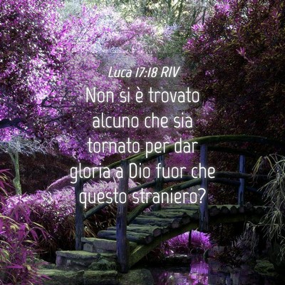Picture 04 - Luca 17:18 RIV - Non si è trovato alcuno che sia tornato per dar - Bible Verse Picture