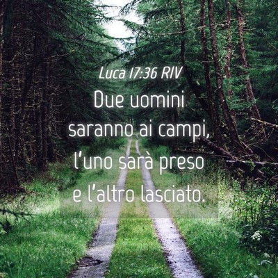 Picture 04 - Luca 17:36 RIV - Due uomini saranno ai campi, l’uno sarà preso - Bible Verse Picture