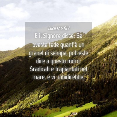 Picture 04 - Luca 17:6 RIV - E il Signore disse: Se aveste fede quant’è un - Bible Verse Picture
