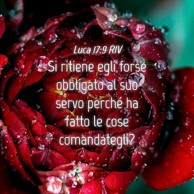 Picture 04 - Luca 17:9 RIV - Si ritiene egli forse obbligato al suo servo - Bible Verse Picture