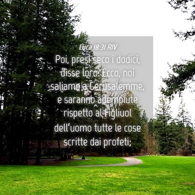Picture 04 - Luca 18:31 RIV - Poi, presi seco i dodici, disse loro: Ecco, noi - Bible Verse Picture