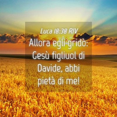 Picture 04 - Luca 18:38 RIV - Allora egli gridò: Gesù figliuol di Davide, - Bible Verse Picture