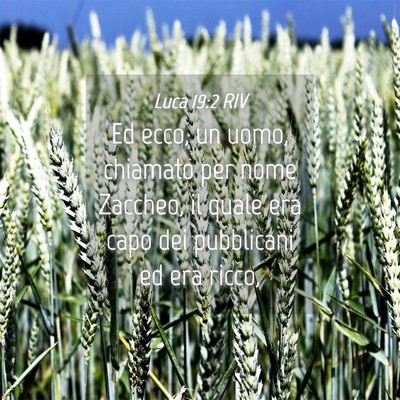 Picture 04 - Luca 19:2 RIV - Ed ecco, un uomo, chiamato per nome Zaccheo, il - Bible Verse Picture