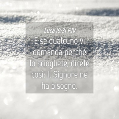 Picture 04 - Luca 19:31 RIV - E se qualcuno vi domanda perché lo sciogliete, - Bible Verse Picture
