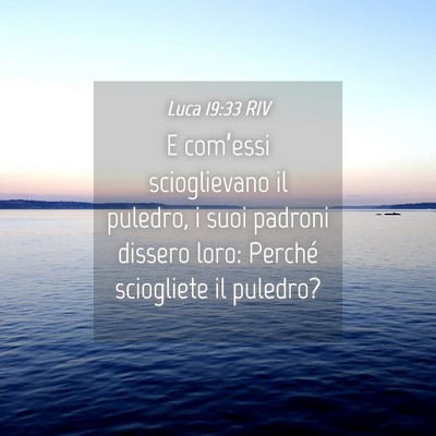 Picture 04 - Luca 19:33 RIV - E com’essi scioglievano il puledro, i suoi - Bible Verse Picture