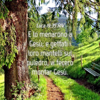 Picture 04 - Luca 19:35 RIV - E lo menarono a Gesù; e gettati i loro mantelli - Bible Verse Picture