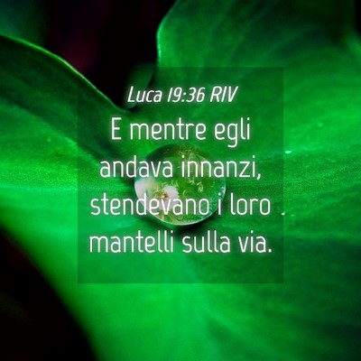 Picture 04 - Luca 19:36 RIV - E mentre egli andava innanzi, stendevano i loro - Bible Verse Picture