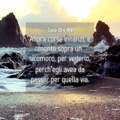 Picture 04 - Luca 19:4 RIV - Allora corse innanzi, e montò sopra un sicomoro, - Bible Verse Picture