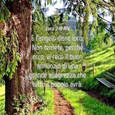 Picture 04 - Luca 2:10 RIV - E l’angelo disse loro: Non temete, perché - Bible Verse Picture