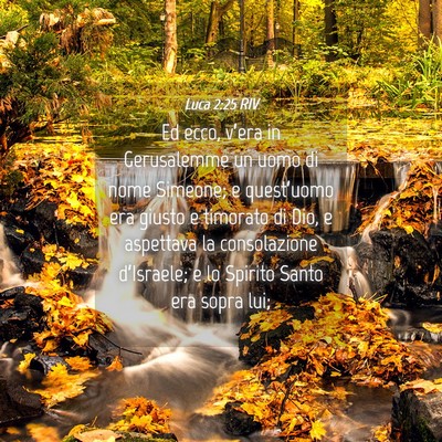 Picture 04 - Luca 2:25 RIV - Ed ecco, v’era in Gerusalemme un uomo di nome - Bible Verse Picture