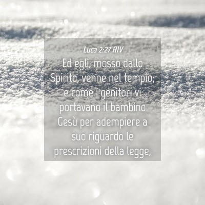 Picture 04 - Luca 2:27 RIV - Ed egli, mosso dallo Spirito, venne nel tempio; e - Bible Verse Picture