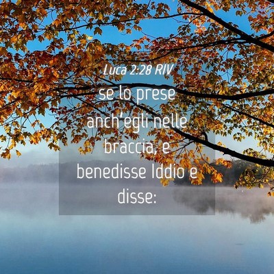 Picture 04 - Luca 2:28 RIV - se lo prese anch’egli nelle braccia, e - Bible Verse Picture
