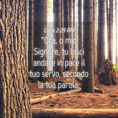 Picture 04 - Luca 2:29 RIV - “Ora, o mio Signore, tu lasci andare in pace il - Bible Verse Picture
