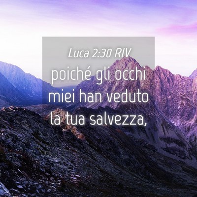 Picture 04 - Luca 2:30 RIV - poiché gli occhi miei han veduto la tua - Bible Verse Picture