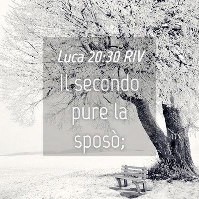 Picture 04 - Luca 20:30 RIV - Il secondo pure la - Bible Verse Picture