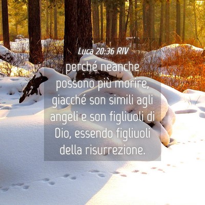Picture 04 - Luca 20:36 RIV - perché neanche possono più morire, giacché son - Bible Verse Picture