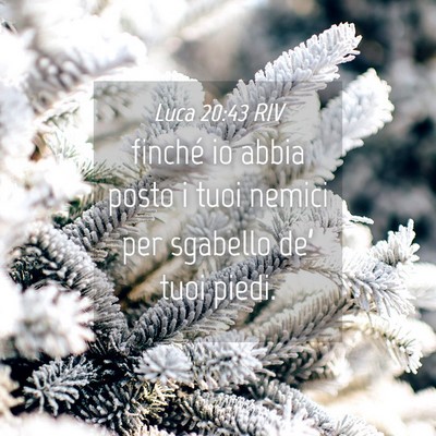 Picture 04 - Luca 20:43 RIV - finché io abbia posto i tuoi nemici per sgabello - Bible Verse Picture