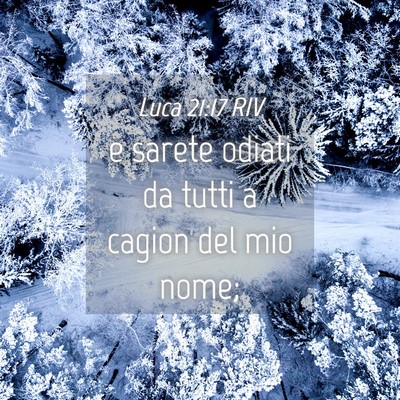 Picture 04 - Luca 21:17 RIV - e sarete odiati da tutti a cagion del mio - Bible Verse Picture