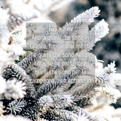 Picture 04 - Luca 21:21 RIV - Allora quelli che sono in Giudea, fuggano ai - Bible Verse Picture
