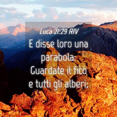 Picture 04 - Luca 21:29 RIV - E disse loro una parabola: Guardate il fico e - Bible Verse Picture