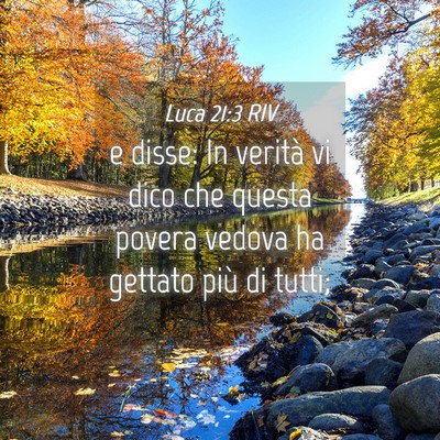 Picture 04 - Luca 21:3 RIV - e disse: In verità vi dico che questa povera - Bible Verse Picture