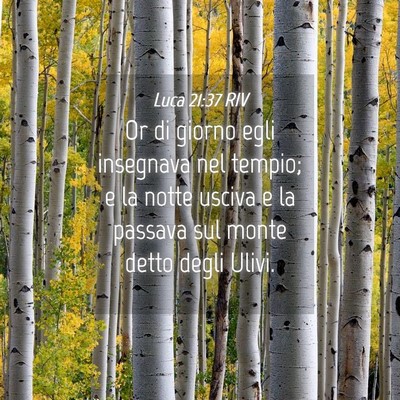 Picture 04 - Luca 21:37 RIV - Or di giorno egli insegnava nel tempio; e la - Bible Verse Picture