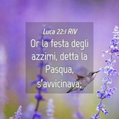 Picture 04 - Luca 22:1 RIV - Or la festa degli azzimi, detta la Pasqua, - Bible Verse Picture