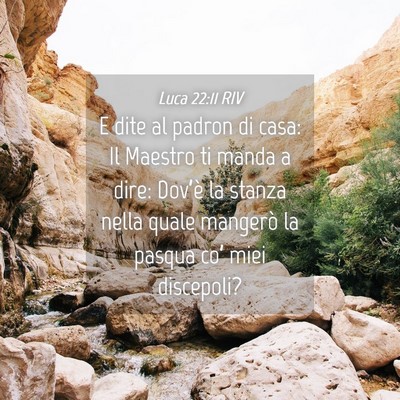Picture 04 - Luca 22:11 RIV - E dite al padron di casa: Il Maestro ti manda a - Bible Verse Picture