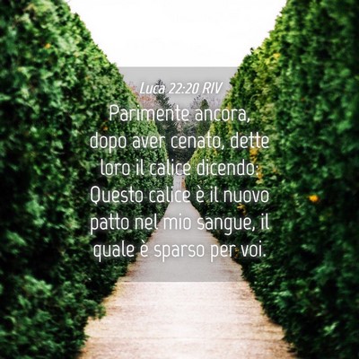 Picture 04 - Luca 22:20 RIV - Parimente ancora, dopo aver cenato, dette loro il - Bible Verse Picture