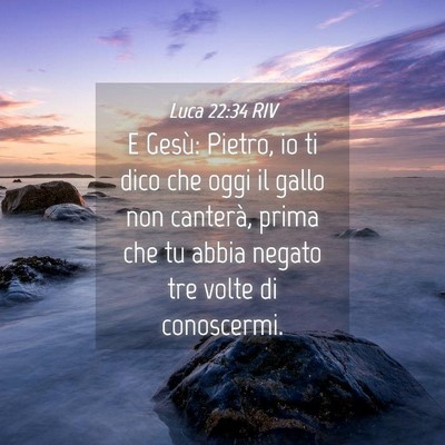 Picture 04 - Luca 22:34 RIV - E Gesù: Pietro, io ti dico che oggi il gallo non - Bible Verse Picture