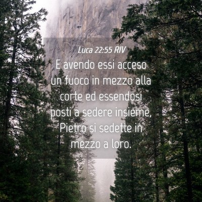 Picture 04 - Luca 22:55 RIV - E avendo essi acceso un fuoco in mezzo alla corte - Bible Verse Picture