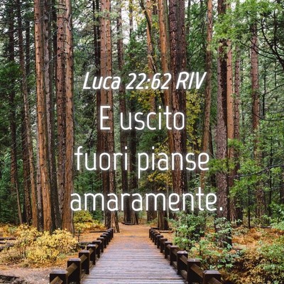 Picture 04 - Luca 22:62 RIV - E uscito fuori pianse - Bible Verse Picture