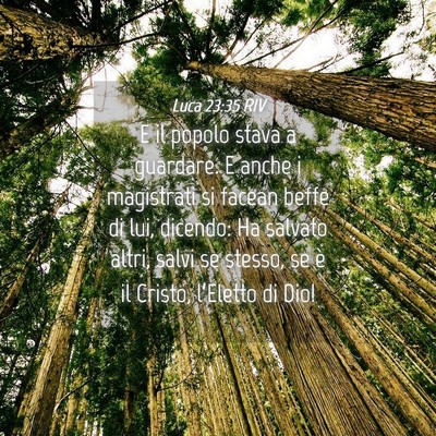 Picture 04 - Luca 23:35 RIV - E il popolo stava a guardare. E anche i - Bible Verse Picture