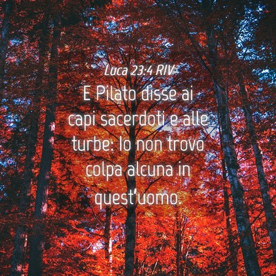 Picture 04 - Luca 23:4 RIV - E Pilato disse ai capi sacerdoti e alle turbe: Io - Bible Verse Picture
