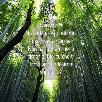 Picture 04 - Luca 23:40 RIV - Ma l’altro, rispondendo, lo sgridava e diceva: - Bible Verse Picture