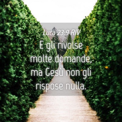 Picture 04 - Luca 23:9 RIV - E gli rivolse molte domande, ma Gesù non gli - Bible Verse Picture
