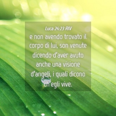 Picture 04 - Luca 24:23 RIV - e non avendo trovato il corpo di lui, son venute - Bible Verse Picture