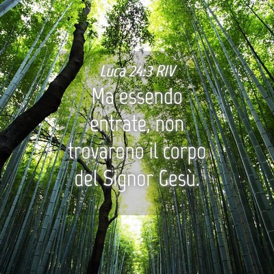 Picture 04 - Luca 24:3 RIV - Ma essendo entrate, non trovarono il corpo del - Bible Verse Picture
