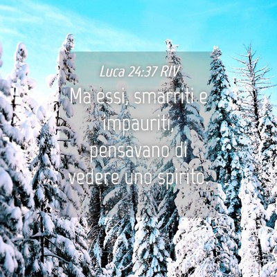 Picture 04 - Luca 24:37 RIV - Ma essi, smarriti e impauriti, pensavano di - Bible Verse Picture
