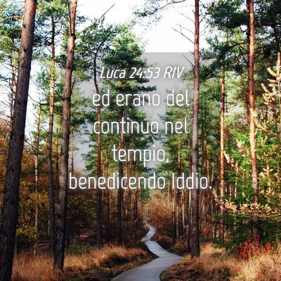 Picture 04 - Luca 24:53 RIV - ed erano del continuo nel tempio, benedicendo - Bible Verse Picture