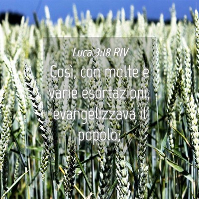 Picture 04 - Luca 3:18 RIV - Così, con molte e varie esortazioni, - Bible Verse Picture