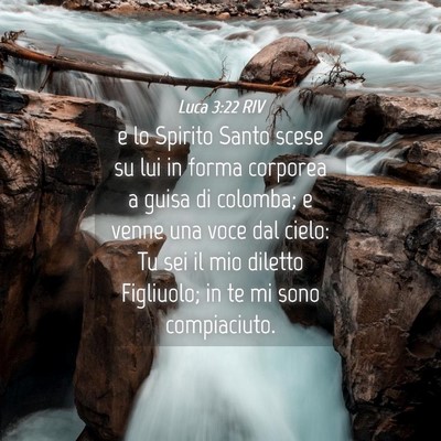 Picture 04 - Luca 3:22 RIV - e lo Spirito Santo scese su lui in forma corporea - Bible Verse Picture